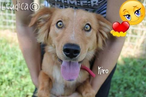Kiro